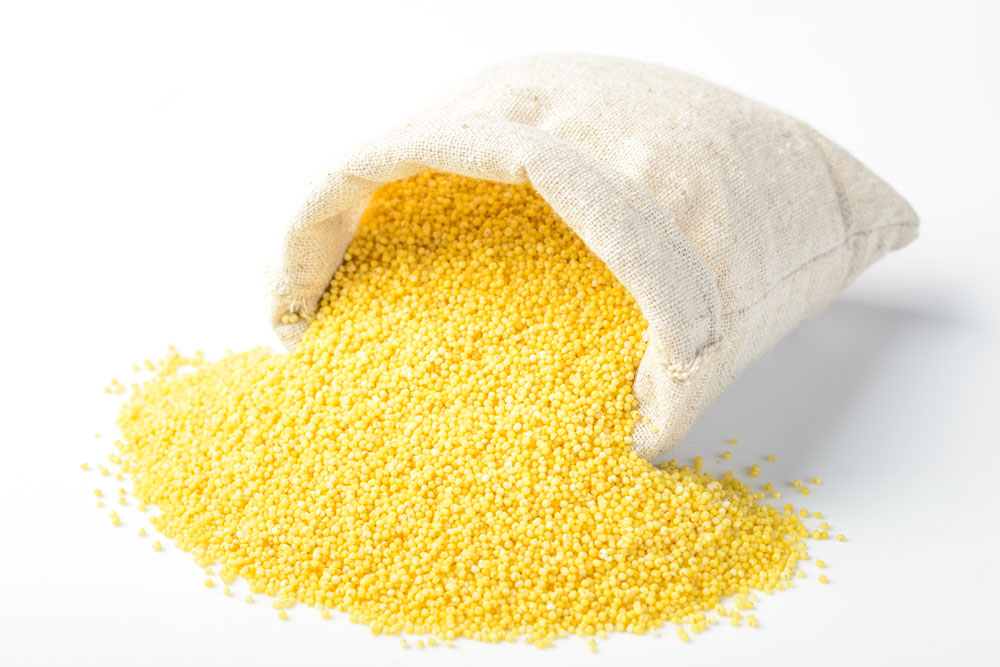 Corn Gluten Meal