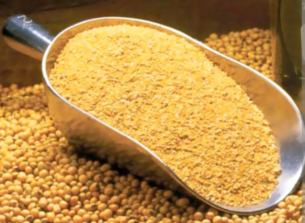 Soybean Meal